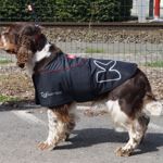 K9-Coat (1)